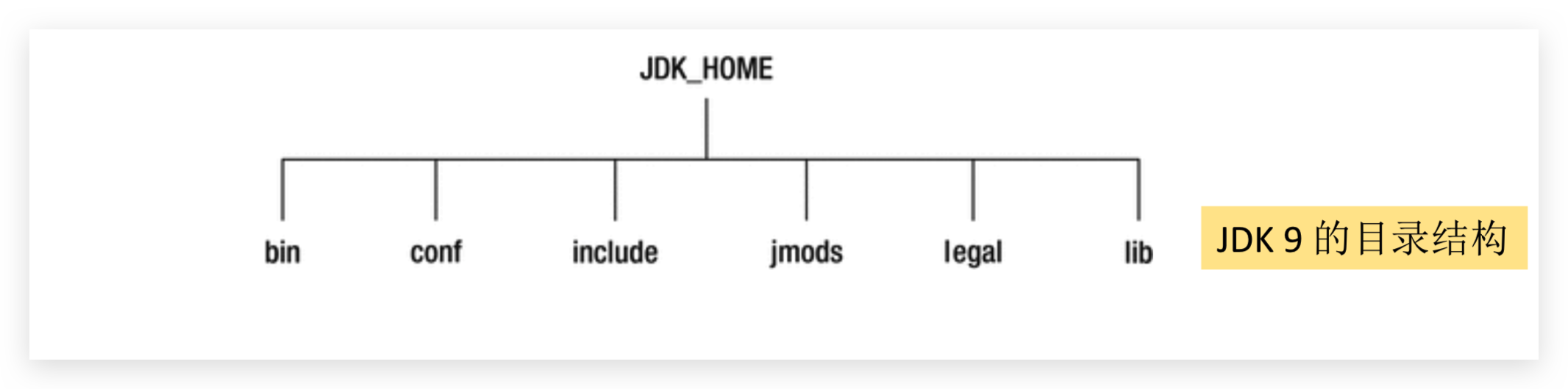 image-20191112232743455